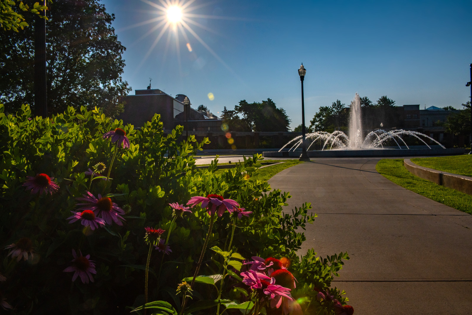 Morning image of fountain in Dede Plaza with sun flare